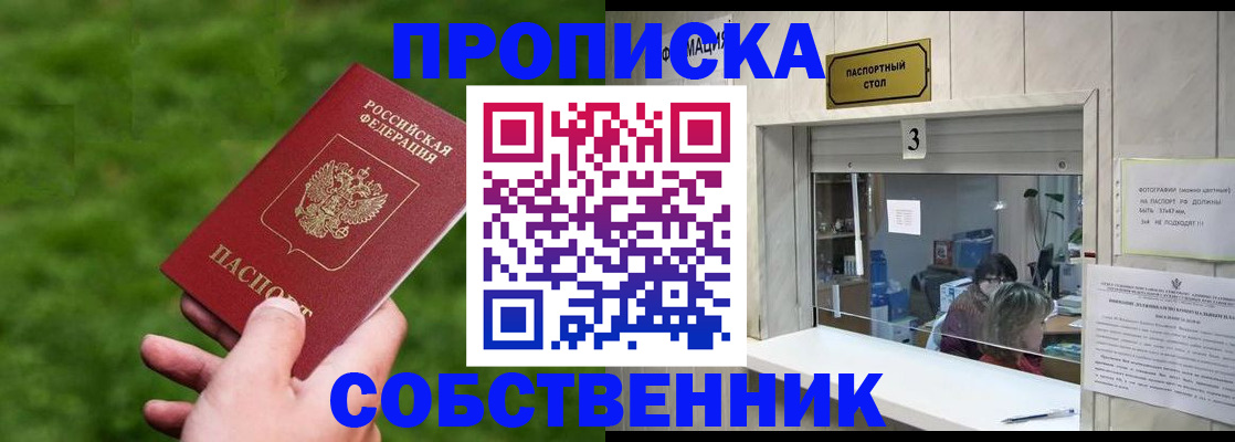 прописка поиск в Павловске